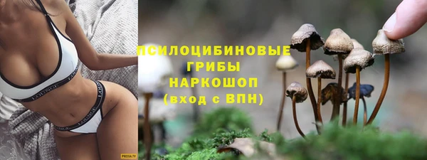 МДПВ Алексин