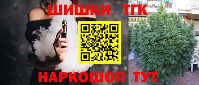 индика Дмитров