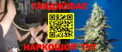 индика Дмитров