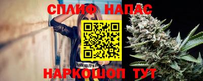 индика Дмитров