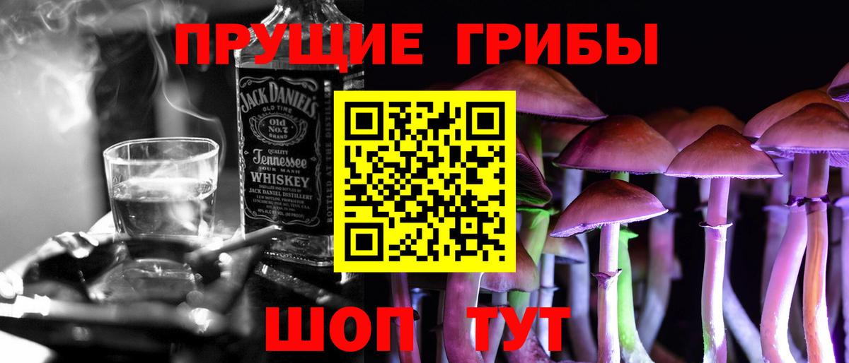 Галлюциногенные грибы Cubensis Одинцово